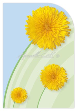 EDF1032P