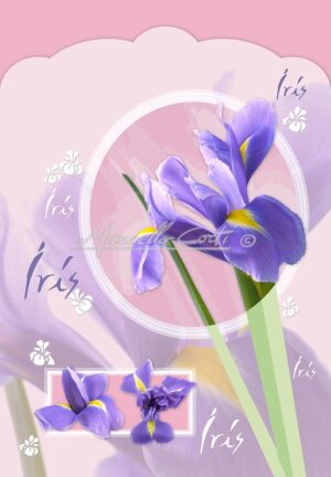 EDF1044A