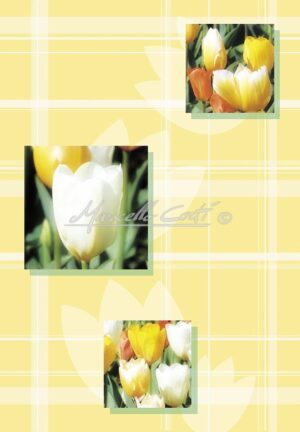 EDF1049