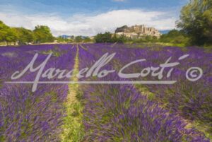 EO1010_Provence_01