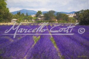 EO1011_Provence_02