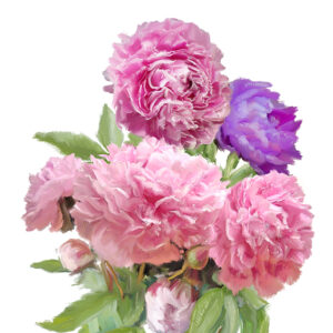 Everyday Flower