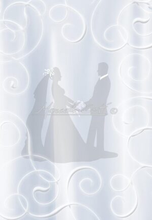 WED1019A