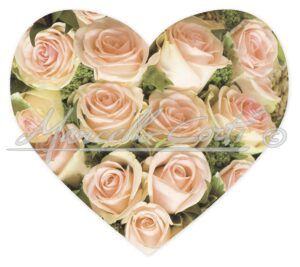 WED1067A_cuore_fr
