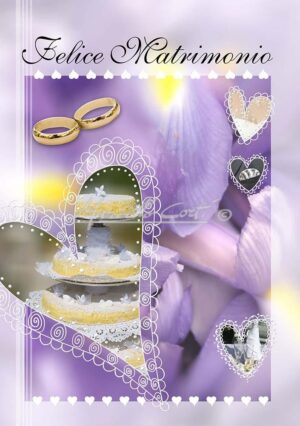 WED1164