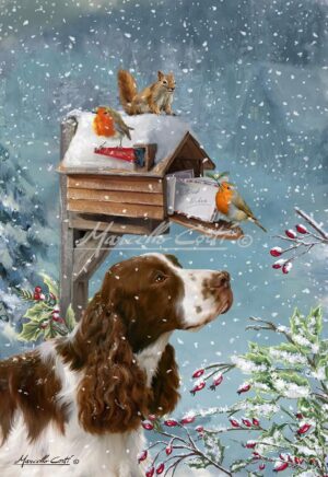 XM1990_SpringerSpaniel